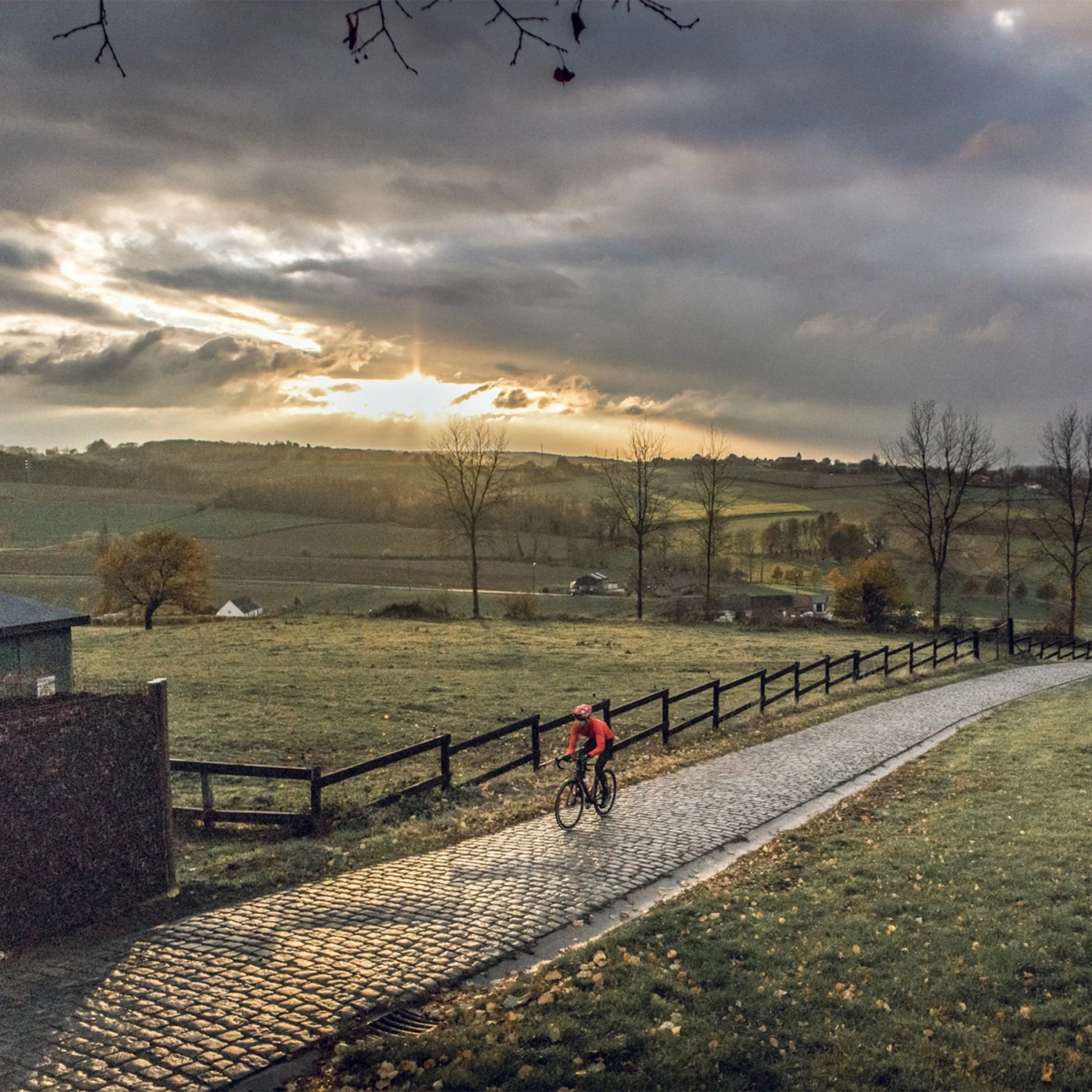 GripGrab Merino Regular Cut Socken 3PACK - Black 8 GripGrab Merino Regular Cut Socken 3PACK - Black – Bild 6